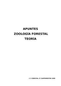 apuntes zoología forestal teoría - ITF ~ Moya | Cuidando el medio
