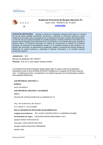 Audiencia Provincial de Burgos (Sección 2ª). Auto núm. 100/2013