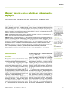 Citocinas y sistema nervioso: relación con crisis convulsivas y