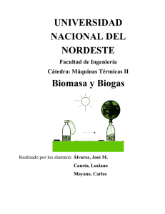 Biomasa  - Facultad de Ingeniería
