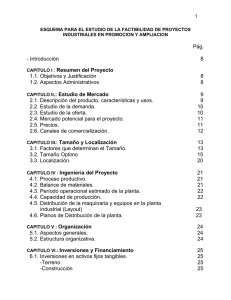 esquema para el estudio de la factibilidad de