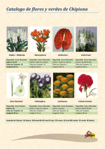 Catalogo de flores y verdes de Chipiona