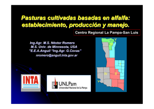 (Microsoft PowerPoint - Presentaci\363n UCA Romero Final.PPT)