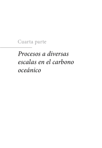 Producción de carbono orgánico en los mares mexicanos
