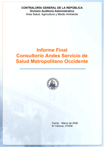 Informe Final Consultorio Andes Servicio de Salud Metropolitano