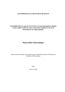 María Elisa Schreckinger - Repositorio Digital USFQ