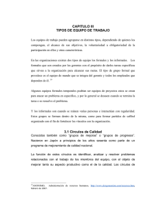 CAPITULO III TIPOS DE EQUIPO DE TRABAJO 3.1 Círculos de