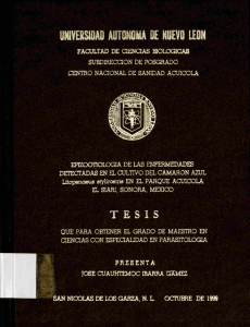 S - Universidad Autónoma de Nuevo León