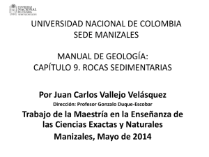 PDF (Manual de Geología - capítulo 9 : Rocas sedimentarias)