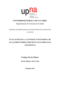 UNIVERSIDAD PÚBLICA DE NAVARRA - Academica-e