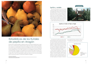 Estadísticas de los frutales de pepita en Aragón 1982-2004