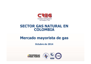 SECTOR GAS NATURAL EN COLOMBIA Mercado mayorista