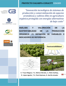 Informe-indicadores-sustentabilidad - Intranet