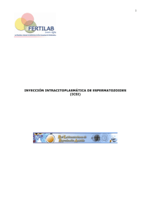inyección intracitoplasmática de espermatozoides (ICSI)