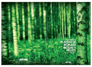 Inventario de plantas de biomasa, biogás y pellets de APPA (2011)
