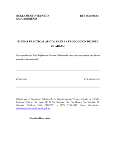 reglamento técnico rts 65.03.01:14 salvadoreño buenas