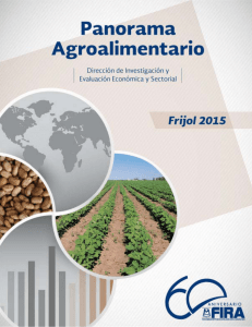 Panorama Agroalimentario | Frijol 2015