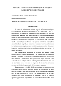 PROGRAMA INSTITUCIONAL DE INVESTIGACIN EN MANEJO DE