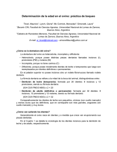 Determinaci&oacute;n de la Edad en Ovinos por Examen Dental (Boqueo)
