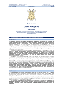 Orden Astigmata - Sociedad Entomológica Aragonesa