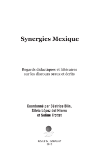 Synergies Mexique