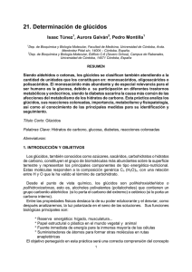 Capítulo XI - Universidad de Córdoba