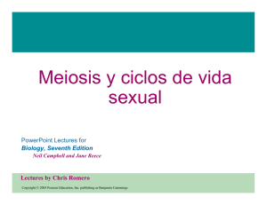 Meiosis y ciclos de vida sexual