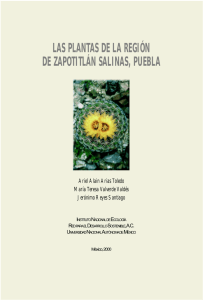 las plantas de la región de zapotitlán salinas, puebla