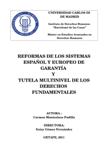 Reformas de los sistemas español y europeo de garantía y tutela