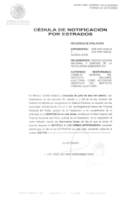 0 - Tribunal Electoral del Poder Judicial de la Federación