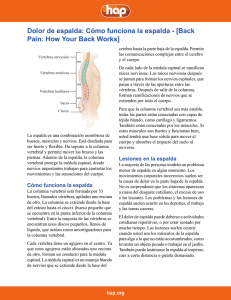 Dolor de espalda: Cómo funciona la espalda - [Back Pain