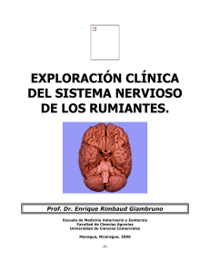 exploración clínica del sistema nervioso de los - Bio