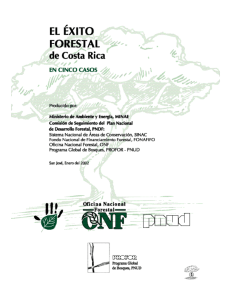 El &eacute;xito forestal de Costa Rica