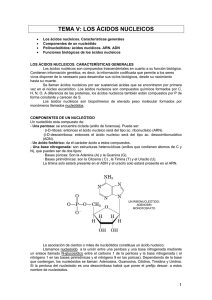 TEMA 05. LOS ACIDOS NUCLEICOS