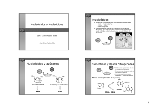15-Acidos NucleicosBN