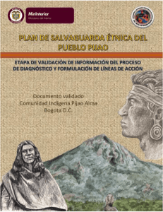 diagn&oacute;stico comunidad indigena pijao aima