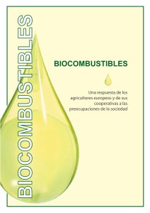 biocombustibles - Copa