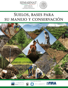 Suelos, bases para su manejo y conservación (PDF
