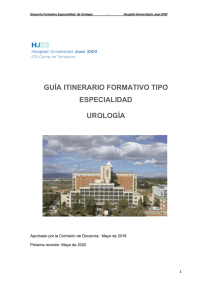 guía itinerario formativo tipo especialidad urología