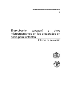 Enterobacter sakazakii y otros microorganismos en los preparados