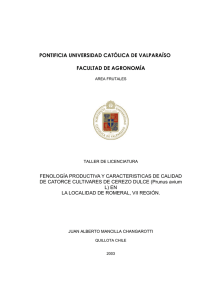 pontificia universidad católica de valparaíso facultad