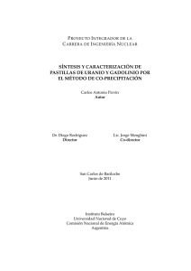 PDF (Tesis) - Repositorio Institucional Centro Atómico Bariloche e