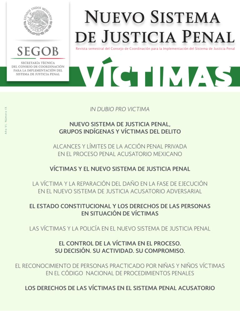 Nuevo Sistema De Justicia Penal