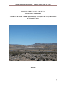 Informe Ambiental de Proyecto - Sistema Cloacal Paso del