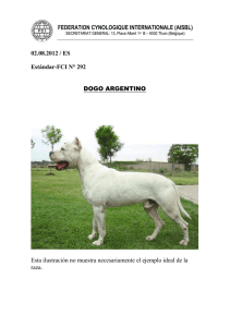 Dogo Argentino - Fédération Cynologique Internationale