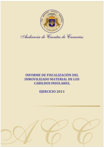 informe de fiscalización del inmovilizado material de los cabildos