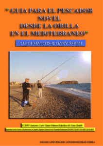 Guía del pescador novel desde la orilla.