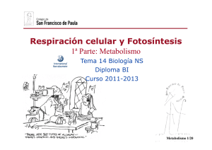 GTP_T14.Respiración celular y Fotosíntesis \(1ªParte_Metabolismo