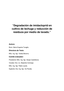“Degradación de imidacloprid en cultivo de lechuga y reducción de