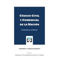 comentarios al título preliminar del código civil y comercial